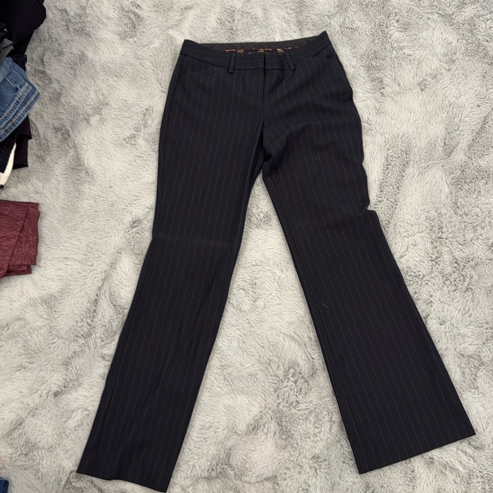Express design studio pants